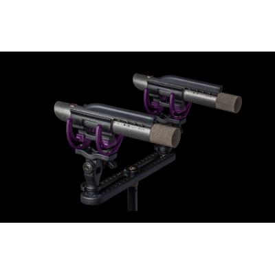 Aston Microphones STARLIGHT Stereo Pair